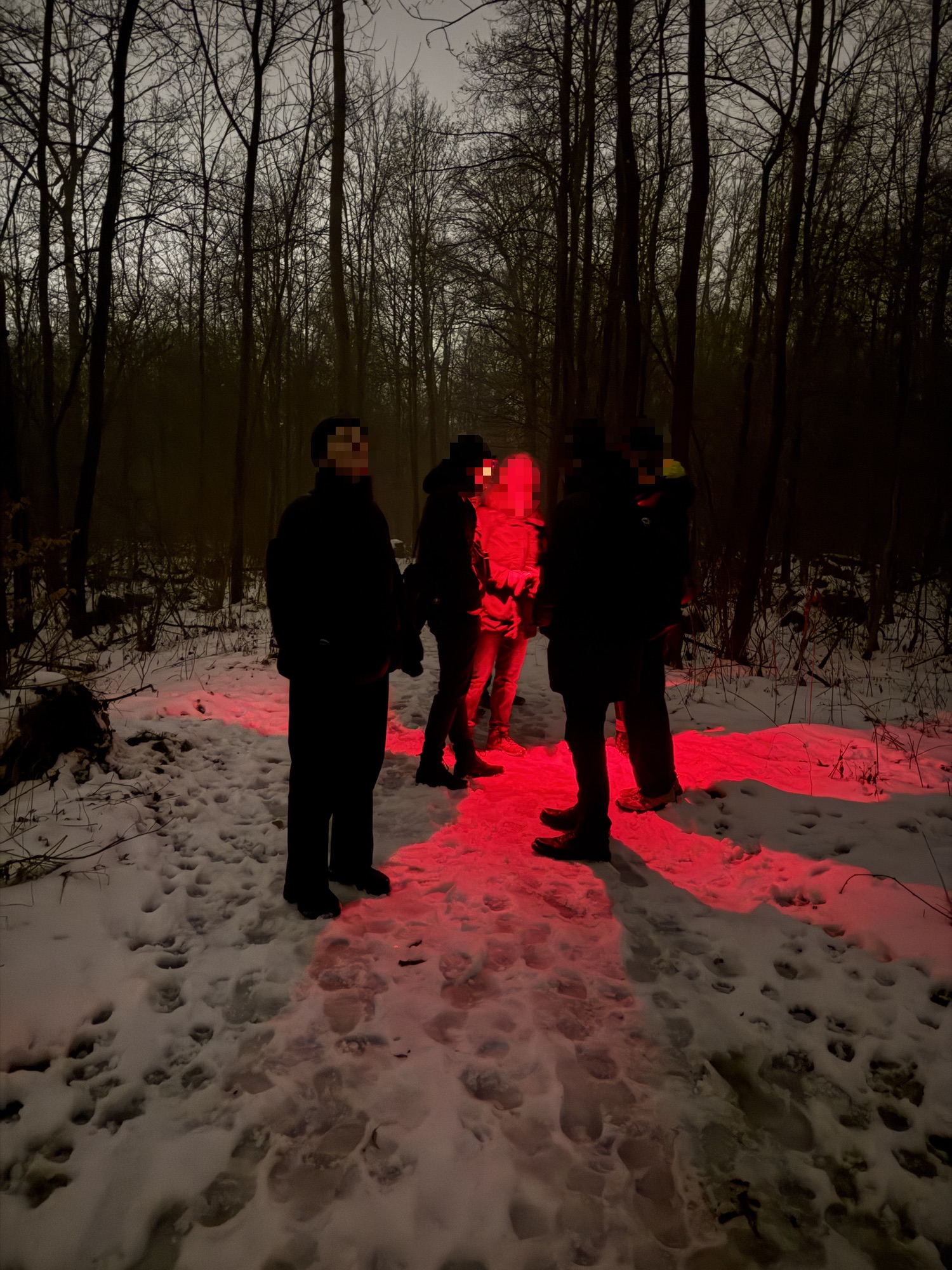 ...und hören die Waldkäuze!